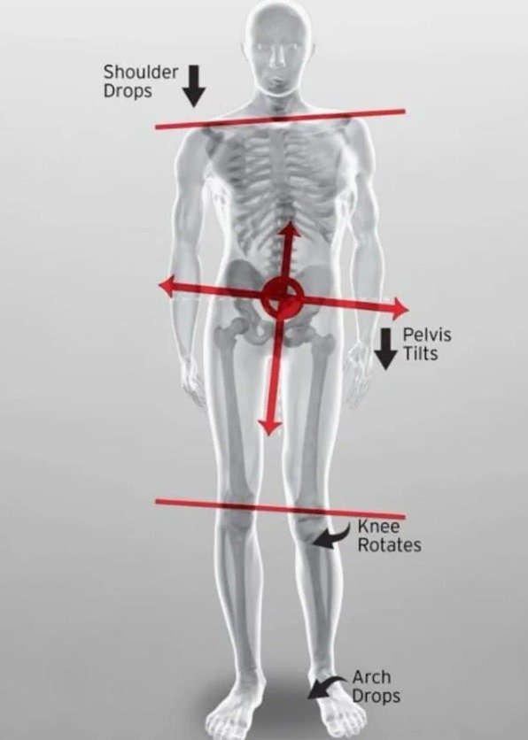 Postural chain: shoulder drops, pelvis tilts, knee rotates, arch drops.